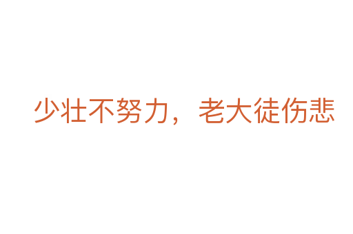 少壮不努力,老大徒伤悲