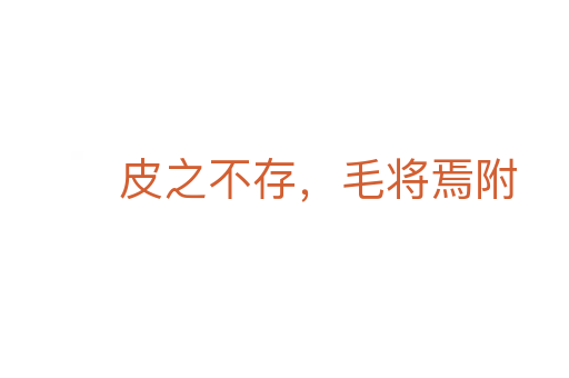 皮之不存,毛将焉附